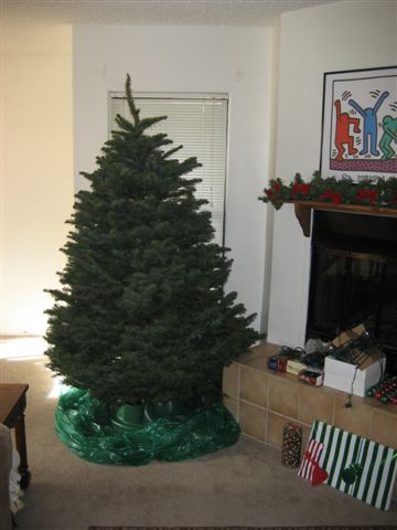 it's in!
